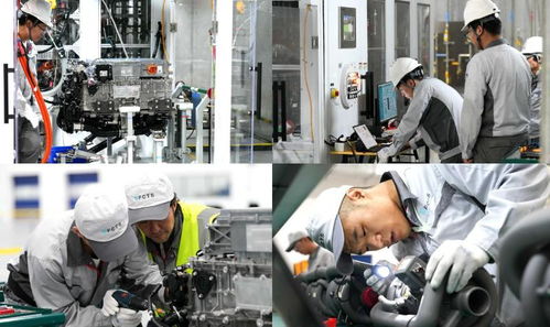 氢能产业步入黄金发展期 创新驱动应用普及，引领能源绿色转型与教学用具研发新机遇