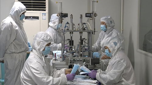 节日坚守显担当 莱州利康70名女工匠心研发教学用具